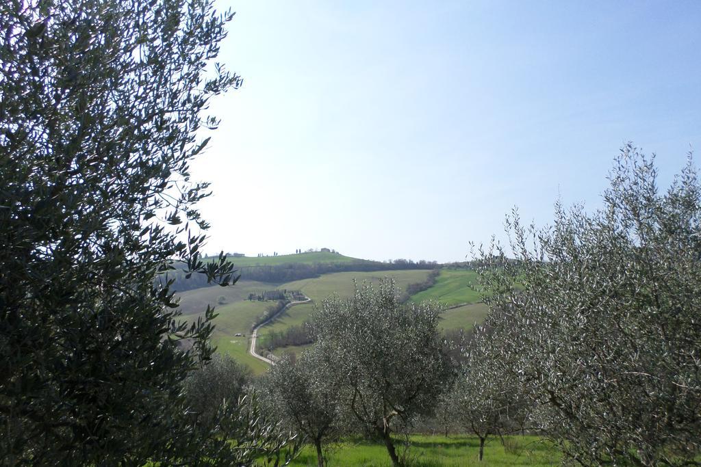 Tenuta Villa Rocchi Torrita di Siena Extérieur photo