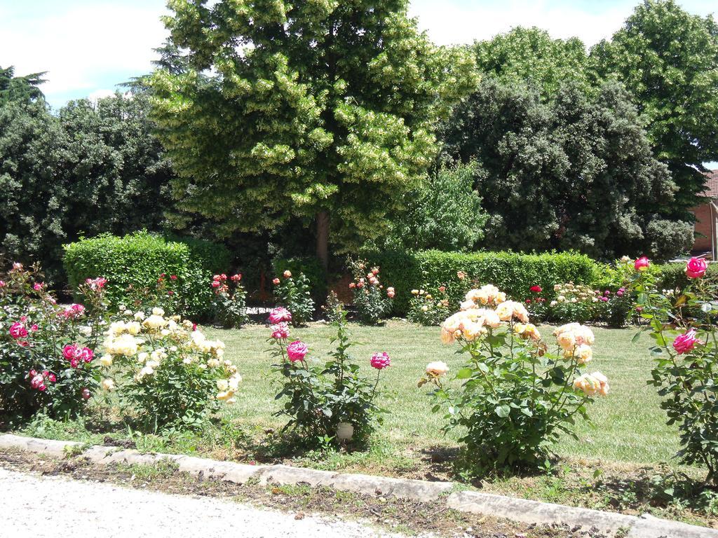 Tenuta Villa Rocchi Torrita di Siena Extérieur photo
